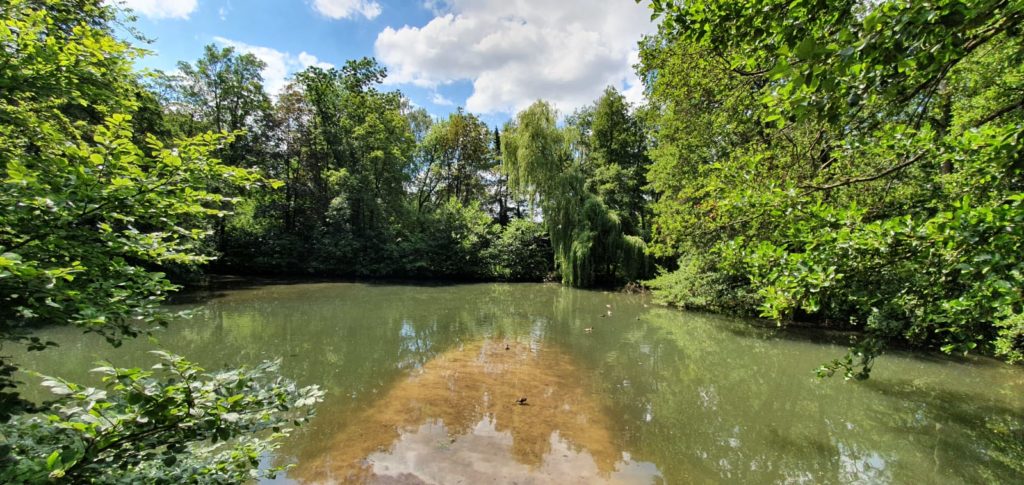 Storckerweiterung in Halle (Westf.)  Altkreis Halle (Westfalen 